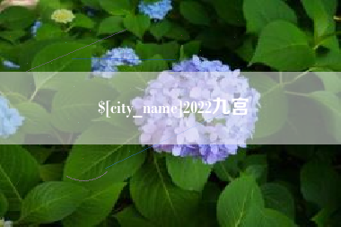 伊犁哈萨克2022九宫