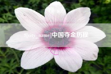 伊犁哈萨克中国夺金历程