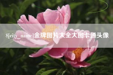 伊犁哈萨克金牌图片大全大图卡通头像