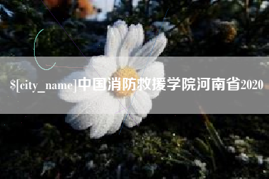 伊犁哈萨克中国消防救援学院河南省2020
